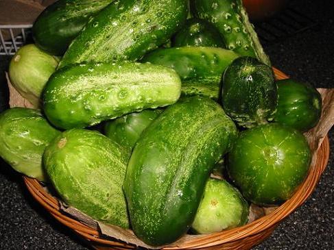 fast weight loss cucumber diet reviews