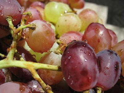 внекорневая подкормка винограда