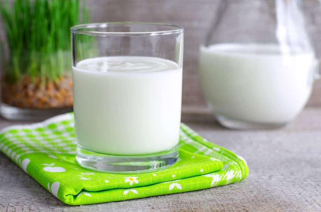 milk kefir