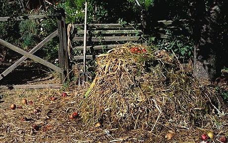 compost pit circuit