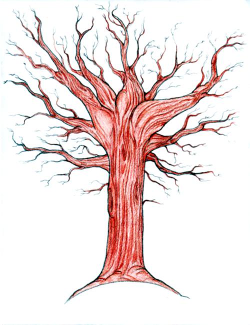 Нарисовать дерево мудрости и плоды своих нравственных достижений 4 класс орксэ