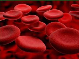 Расшифровка биохимического анализа крови индекс атерогенности thumbnail