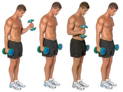 Biceps dumbbell