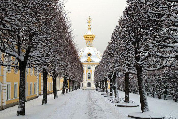 What is Peterhof