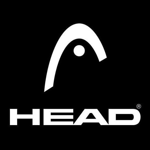 горные лыжи head отзывы