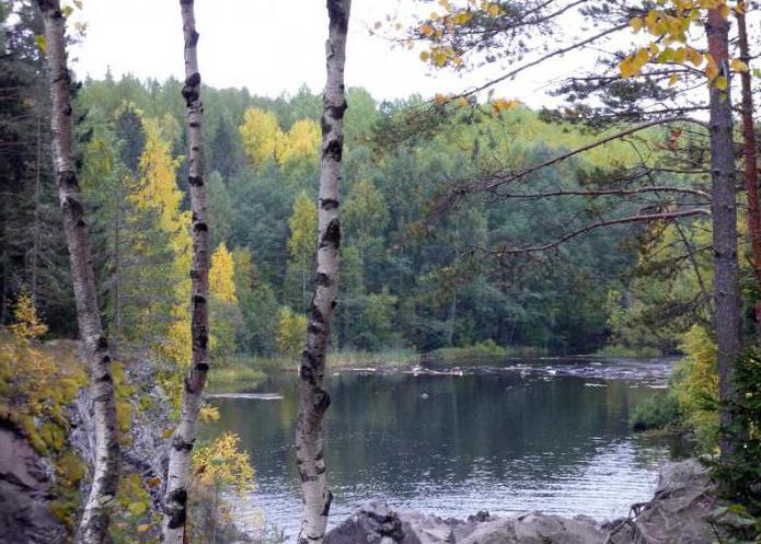 botanical garden petrozavodsk sale of seedlings