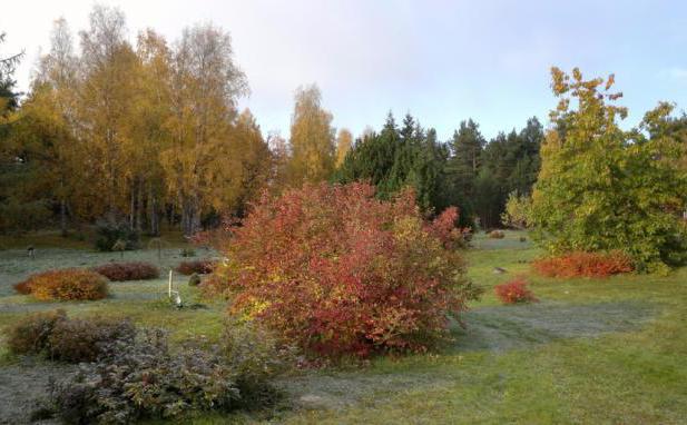 Ботанический сад петрозаводск фото летом