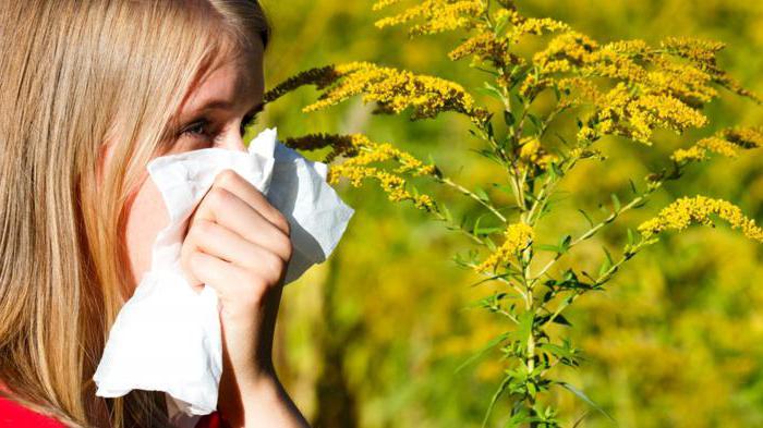 аллергия на сорные травы лечение
