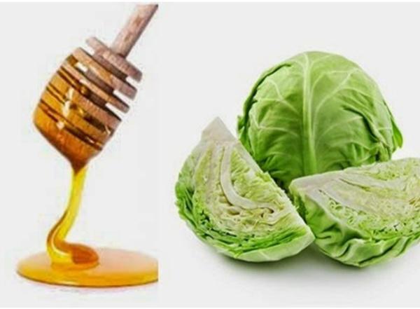 cabbage leaf medicinal properties and contraindications