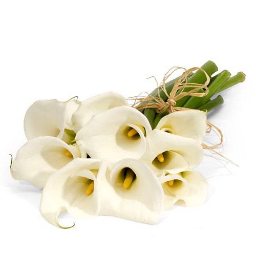 bridal bouquet of callas