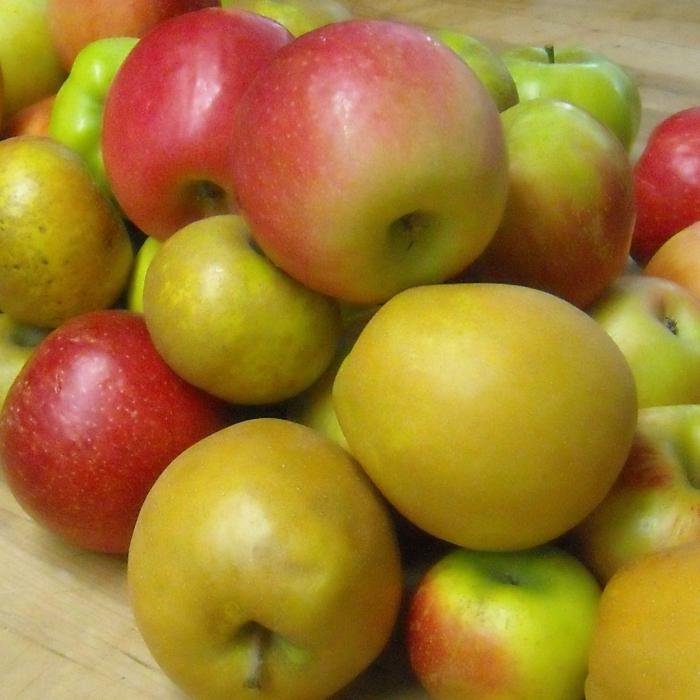 Несколько яблок лежит на шкафе до тысяча восемьсот двенадцатого года