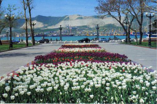 city ​​beach of Novorossiysk