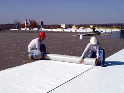 membrane roofing Price