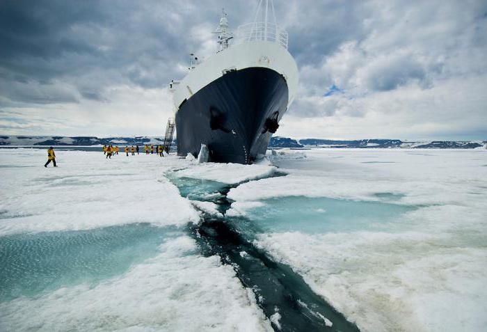 паковые льды в северном ледовитом океане