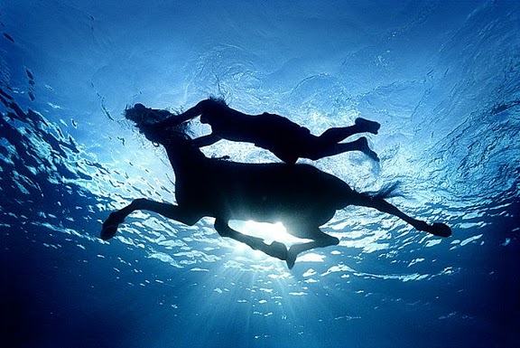 How to teach a horse to swim?