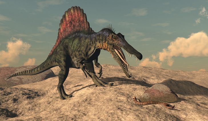 spinosaurus on land