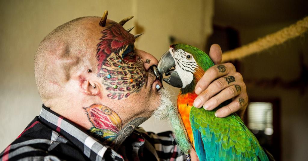 man parrot