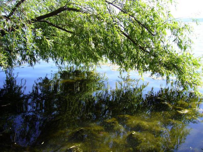 lake shartash yekaterinburg beach