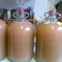 homemade apple wine recipe