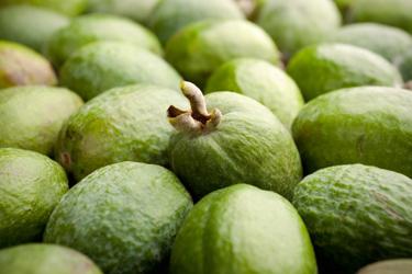 feijoa recipes