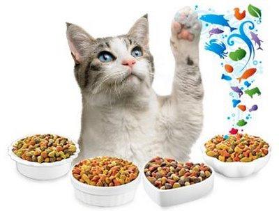 Корм для кормящих кошек