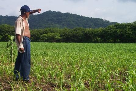 peasant farming