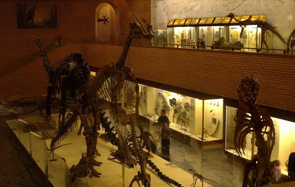 музей динозавров фото