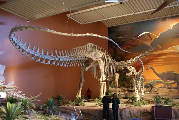 музей динозавров теплый стан
