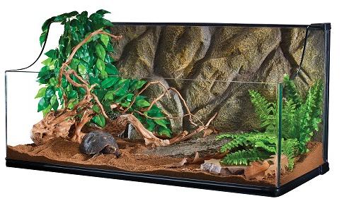 terrarium for land tortoise