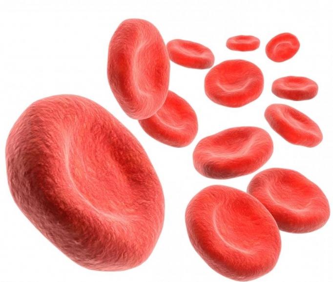 норма гемоглобина в крови у детей