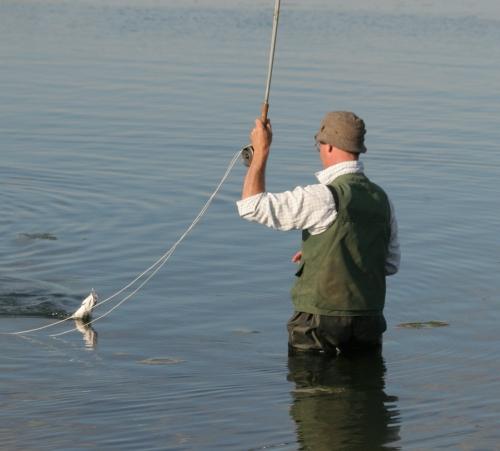 Catching carp on a float.