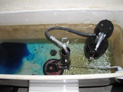 water constantly flows into the toilet from the tank