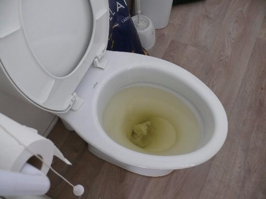 clean the toilet blockage