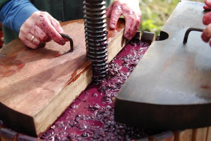 DIY grape press