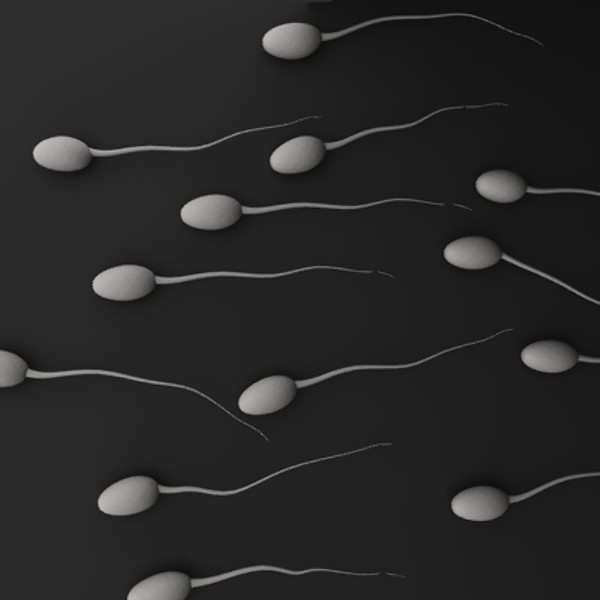 Костюм сперматозоида