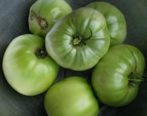 green tomato blanks