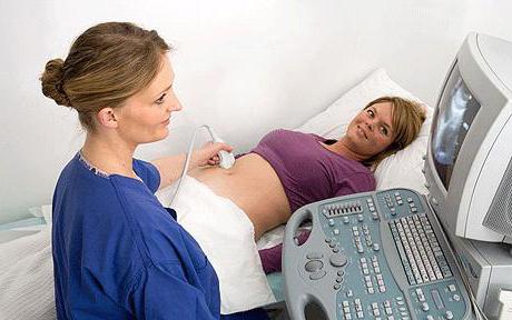 беременность узнать пол ребенка