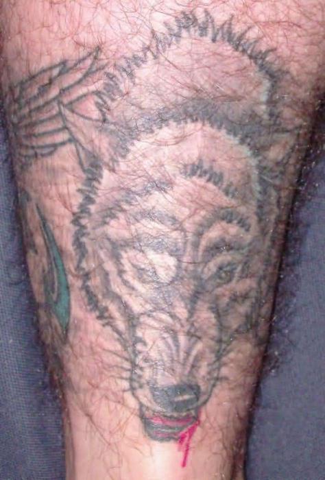 тюремное значение татуировки волка