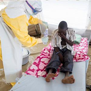 лихорадка эбола симптомы как передается 
