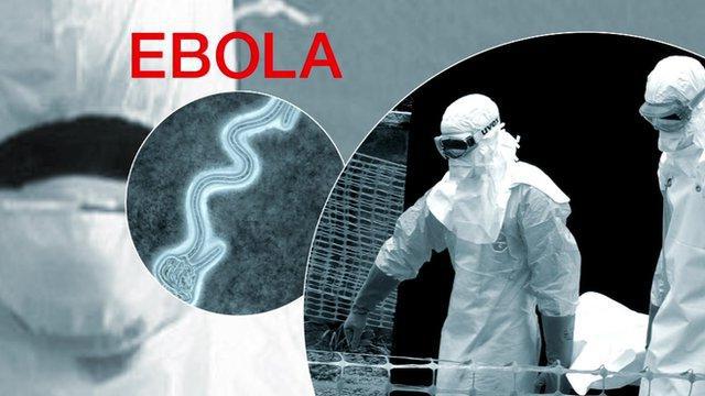 лихорадка эбола откуда