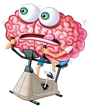 тренировка сосудов головного мозга