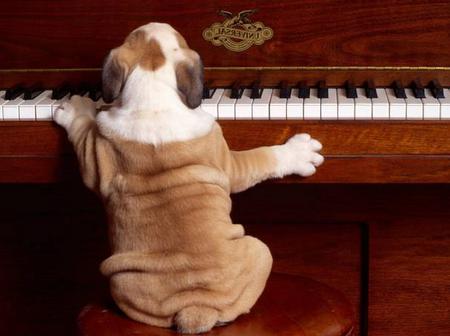 как играть на пианино собачий вальс