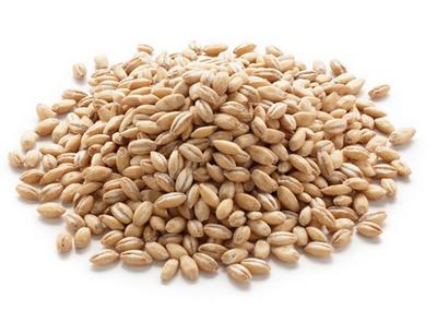 how many calories in barley