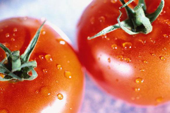 можно ли есть помидоры при похудении