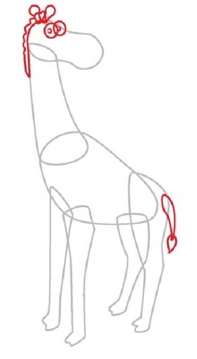 Как нарисовать жирафа карандашом
