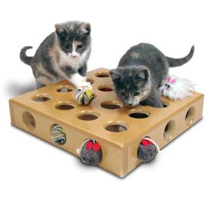 toys for kittens photo