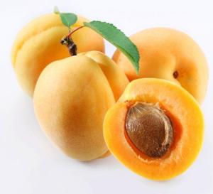 can nursing apricots