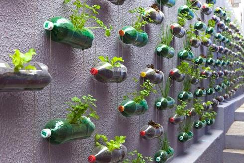 garden decorations from plastic bottles