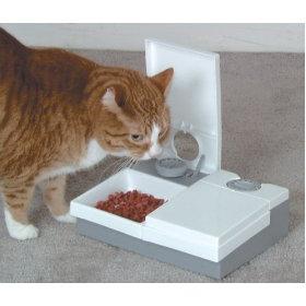 cat feeders