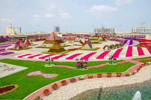 ОАЭ Дубай парк цветов